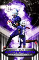 MSJ- Anderson