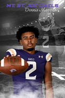 2x3 msj banner morgan